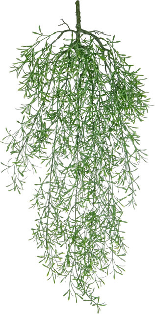 Künstlicher Hänge-Farn Augustin von Aplanta, Grün, Höhe: 75 cm - Bild 1