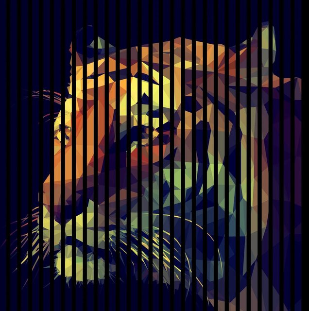 FN Acustico Akustikplatte Tiger in Bunt, Material PET und MDF, B/H/T: 113,3 x 19 x 119,5 cm - Bild 1