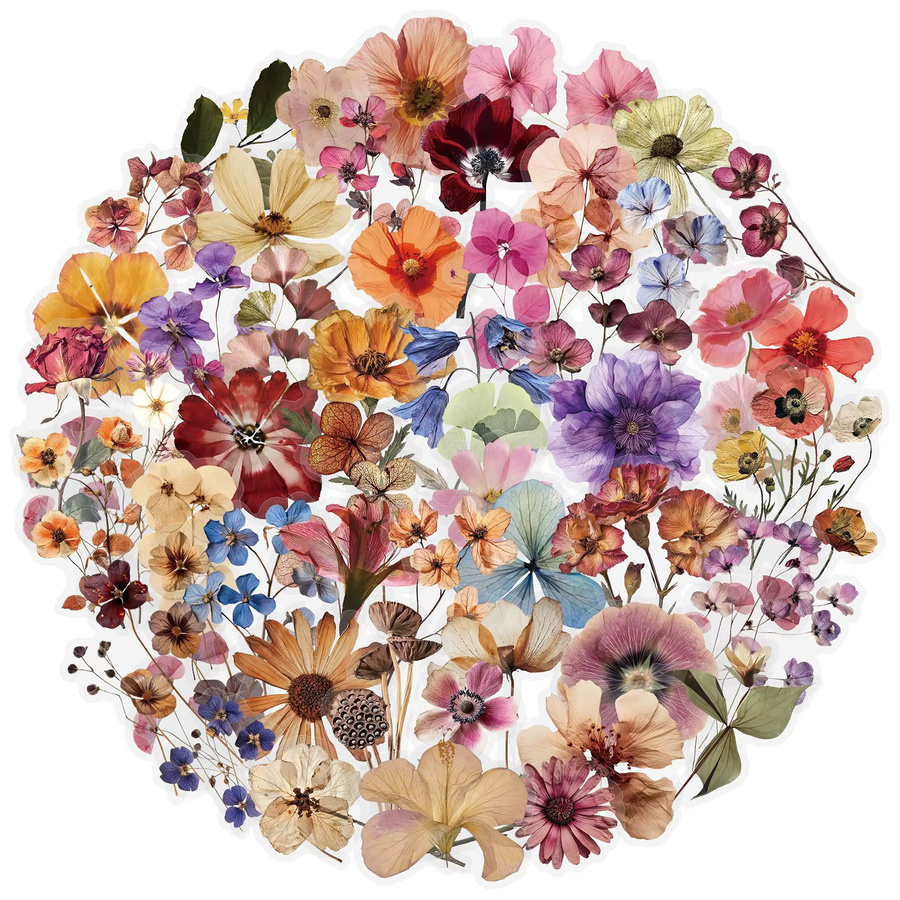 50 Stück Transparente Retro Trockenblumen-Aufkleber in Multicolour für dein DIY-Scrapbooking und zur Dekoration von Laptop oder Notizbuch - Bild 3