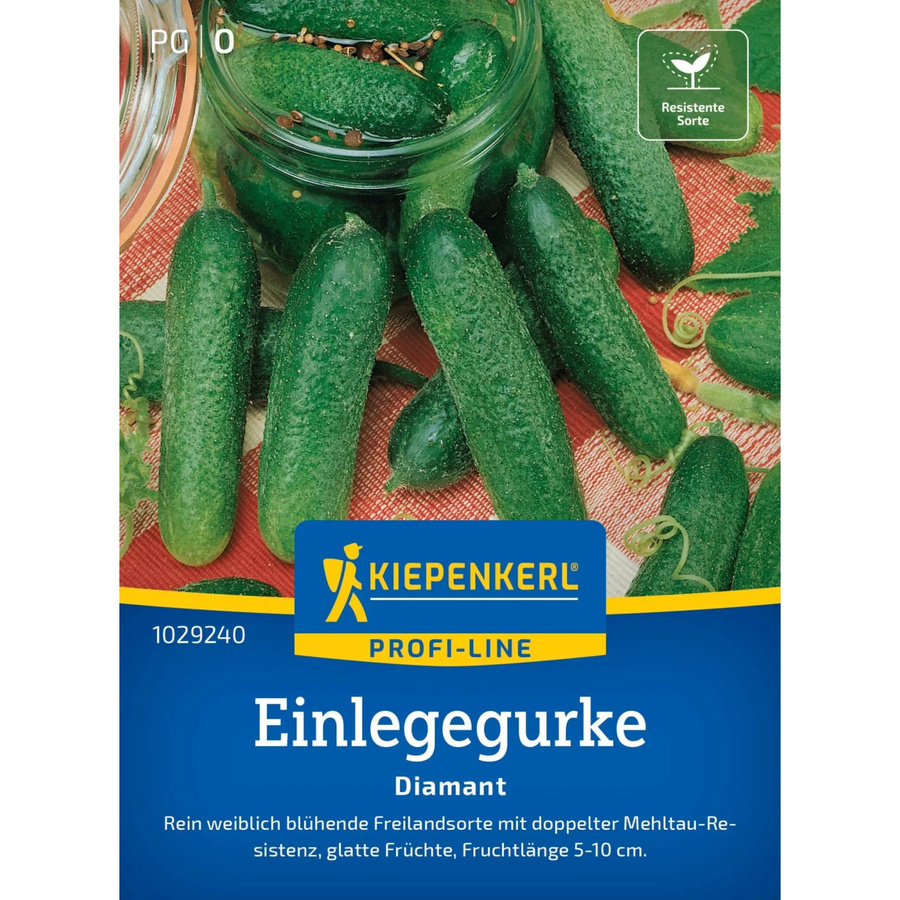 Kiepenkerl Einlegegurken Diamant F1 dunkelgrün - Bild 2