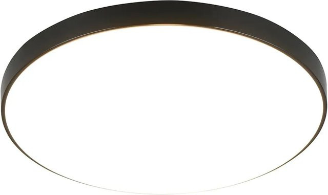 Reality LED-Deckenleuchte Alioth in Schwarz für Badezimmer und Waschräume mit IP44 Schutzart - Bild 1