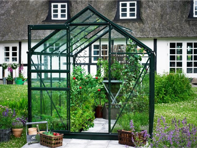 Halls Gewächshaus Popular in Grün mit 6,2 m² Anbaufläche und Blankglas - Bild 1