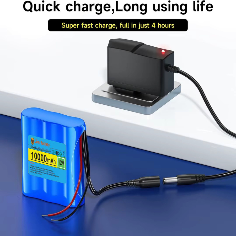 Aleaivy Tragbarer Lithium-Ionen Akku 12V 10Ah mit Ladegerät, Blau, 10000 mAh - Bild 2
