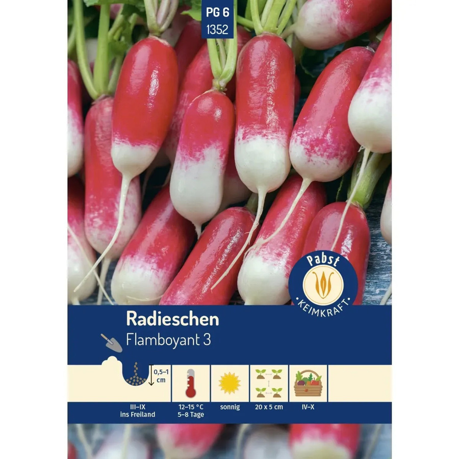 Pabst Keimkraft Radieschen Flamboyant zweifarbig lang Saatgut 250 g - Bild 2