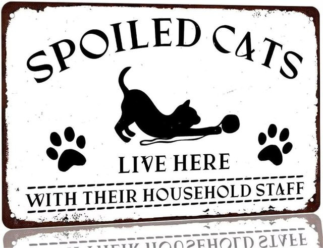 MINISO Metall-Blechschild Spoiled Cats Live Here with Their Household Staff als Vintage Wanddekoration für Haustierliebhaber, Weiß, Breite: 20 cm, Höhe: 20 cm - Bild 1