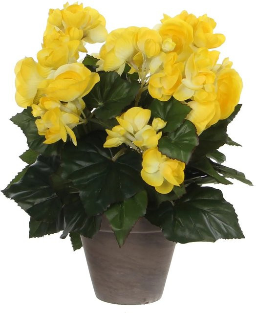 Kunstblume Begonia von Mica Decorations in Gelb im Terrakotta-Topf, Höhe: 30 cm, Breite: 25 cm, Topf-Durchmesser: 11,5 cm - Bild 1