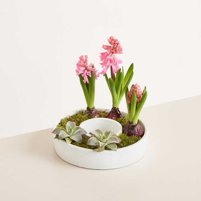 DIY Betonring Pink Blossom von BLUME2000 in Weiß und Hellrosa - Bild 1