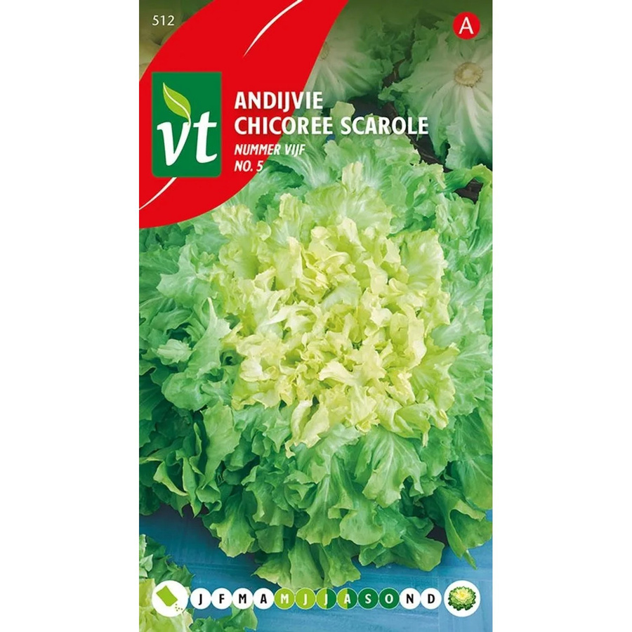 Arborix Endivie Nummer Fünf Saatgut für Garten und Balkon, 2 g - Bild 2