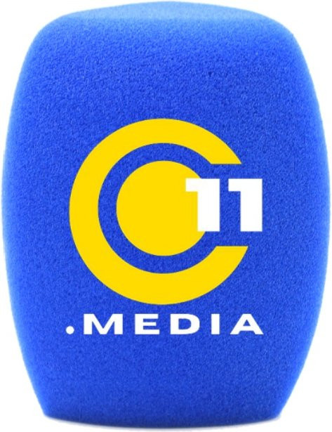 Blauer Mikrofon-Schaum-Windschutz für Handheld-Interview-Mikrofone mit 40 mm Öffnung - Bild 1