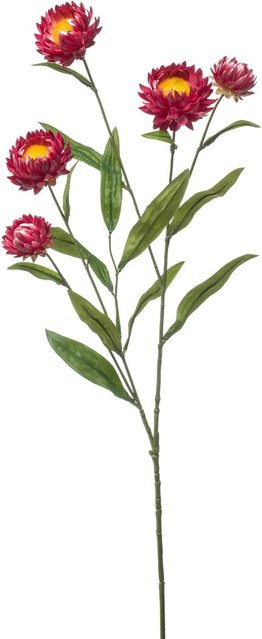 Künstliche Regenlilie von Aplanta in Pink, Höhe: 70 cm, Breite: 10 cm - Bild 1