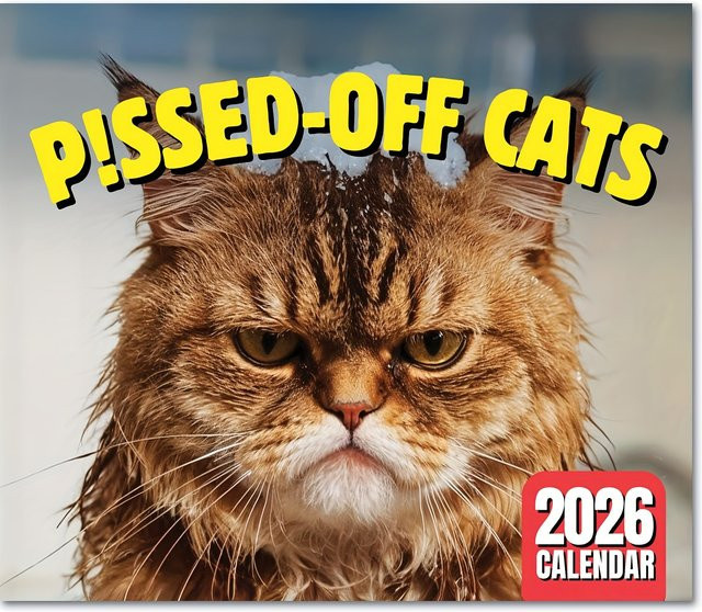 Wandkalender 2026 mit Katzenmotiven in Multicolor als hängendes Design für dein Zuhause oder Büro - Bild 1