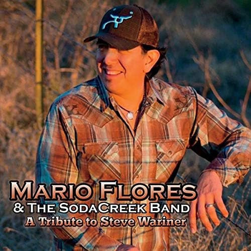 Mario Flores - A Tribute To Steve Wariner CD Japan Folk gebraucht brown - Bild 1