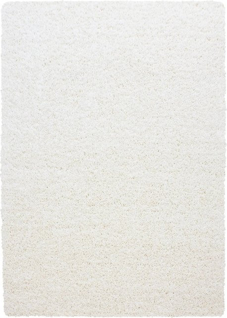 Ayyildiz Hochflorteppich Life Shaggy-Stil Creme B/L: 240 x 340 cm - Bild 1