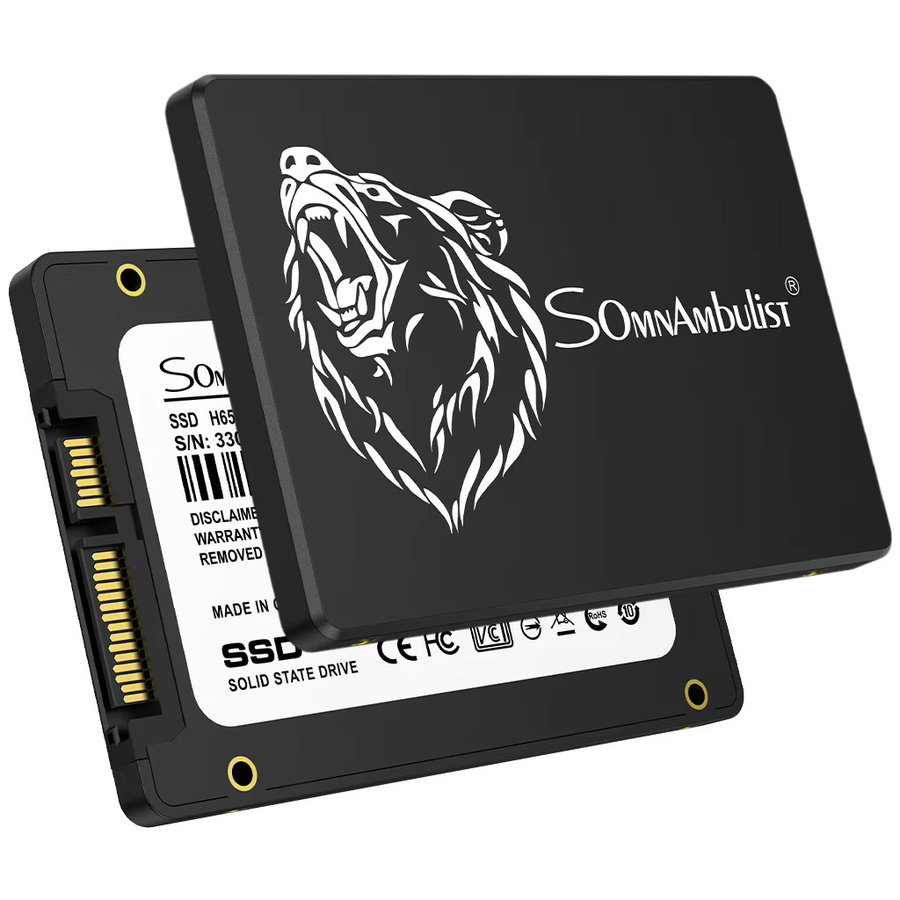 SomnAmbulist 2,5-Zoll SATA III SSD 256GB Interne Solid-State-Festplatte in Schwarz für Laptop und PC - Bild 2