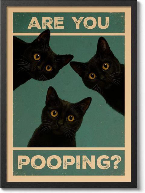 Lustiges Katzen-Poster für das Badezimmer mit Typografie von SHENCHEN, Mehrfarbig, Rechteckig, Wandmontage - Bild 1