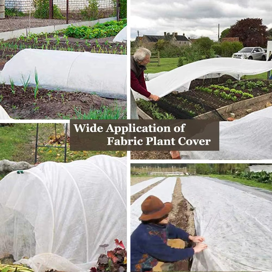 Weiße Schwimmende Reihenabdeckung aus Kunststoff als Frostschutz- und Gartengewebe zum Schutz vor Winterfrost, Sonne und Schädlingen, Breite: 304,8 cm - Bild 3