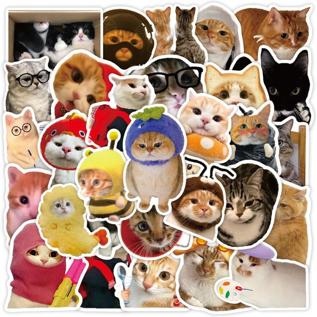 Rspctou Kawaii Tier-Katzen-Graffiti-Aufkleber mit lustigen Kätzchen-MEMEs in Multicolour für Koffer, Helm, Laptop und Handy - Bild 1