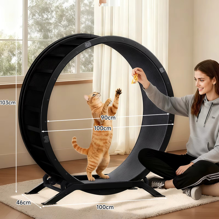 GTPLAYER Katzenlaufrad in Schwarz mit abnehmbarem Teppich und Teaser für Wohnungskatzen - Bild 2