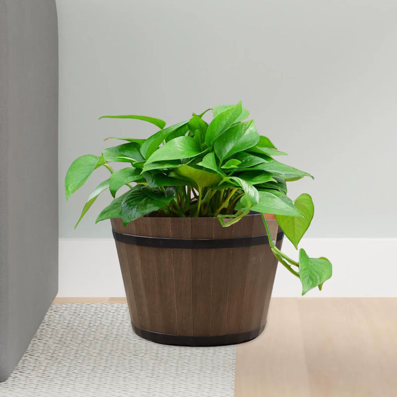 Homyl Blumentopf in Braun, rustikaler Kunststoff-Pflanzenbehälter für Indoor und Home Office, Rund - Bild 3