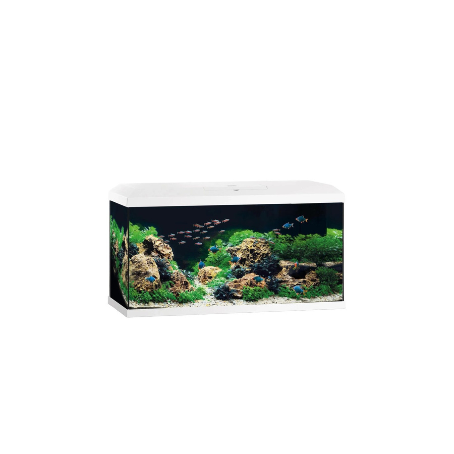 Juwel Aquarium-Set Primo 110 in Weiß - Bild 2