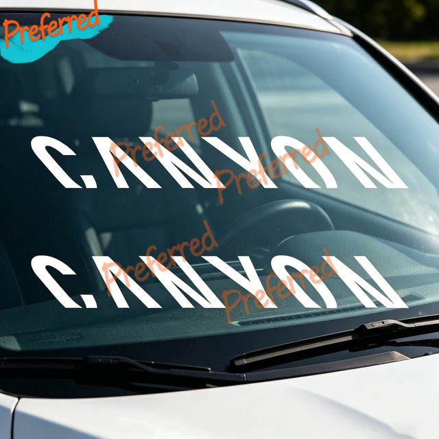 2x CANYON LOGO Aufkleber wasserfest und individuell anpassbar ohne Hintergrund - Bild 1