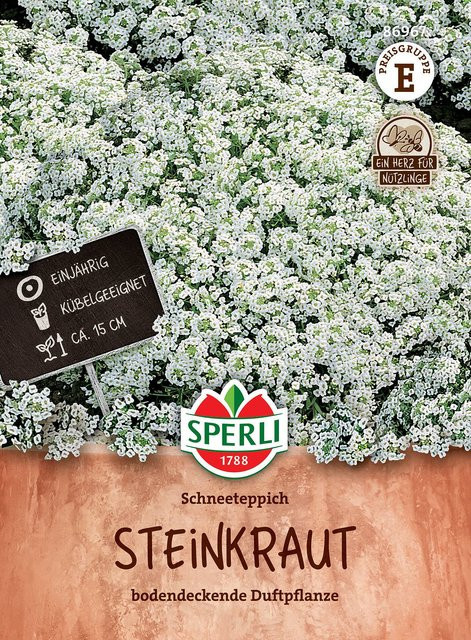 SPERLI Steinkraut-Samen Schneeteppich in Weiß - Bild 1