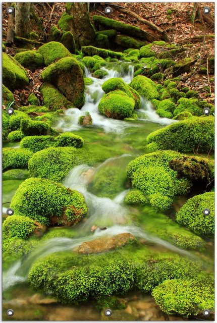 Wallario Gartenposter Moosiger Bach in Grün, Breite: 60 cm, Höhe: 90 cm - Bild 1