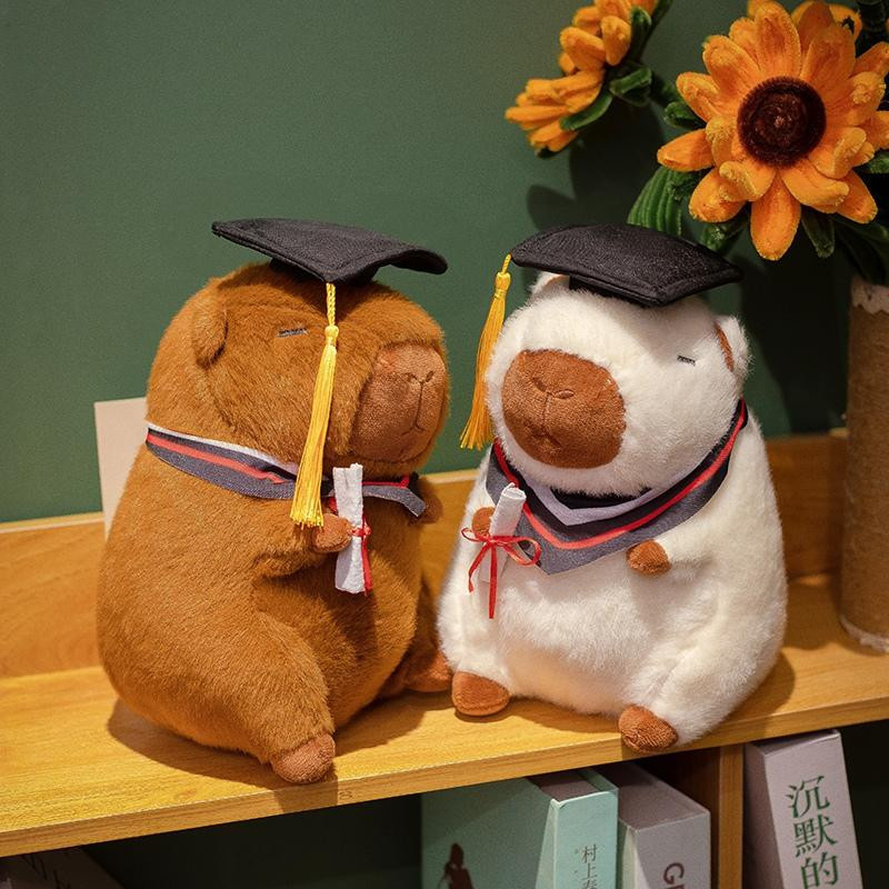 Pangcangshu Capybara Stofftier mit Doktorhut Plüsch 23cm - Bild 2