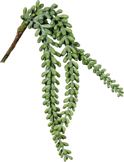 Künstlicher Sukkulenten Hänger Jannis von Aplanta, Höhe: 38 cm - Bild 1