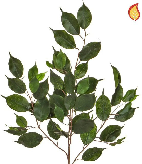 Künstlicher Ficuszweig Gottfried von Aplanta, Höhe: 75 cm - Bild 1