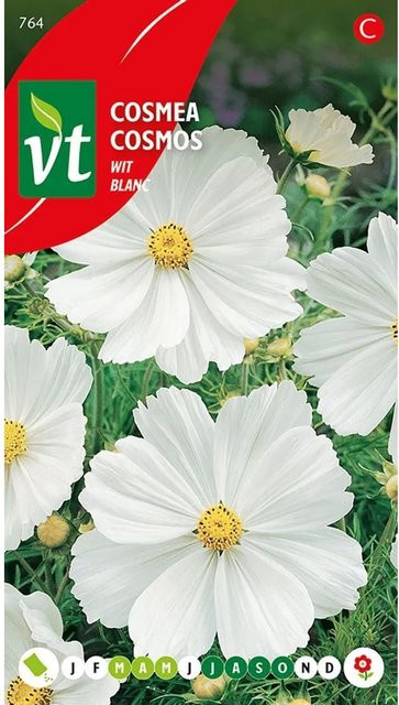 Arborix Cosmea Blanc Saatgut mit weißen Blüten, ca. 1 g - Bild 1