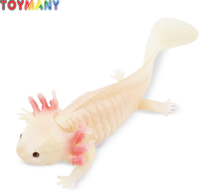 Toymany Axolotl Salamander Reptil Tier Modell, Action Figuren, Tiere - Bild 1