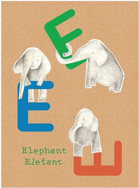 Komar Wandbild ABC Animal Poster auf Fotopapier, Mehrfarbig, Breite: 40 cm, Höhe: 50 cm - Bild 1