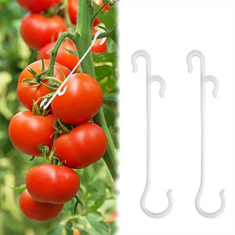 10 Stück Elberta J-förmige Pflanzensstützen aus PP-Material für Garten und Gewächshaus, Befestigungsclips für Kirschtomaten und Trauben, Farbe: Weiß oder Schwarz, Höhe: 13 cm - Bild 4