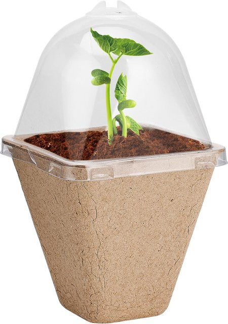 Biologisch abbaubare Anzuchttöpfe mit Feuchtigkeitskuppel von CosyHome in White oder Beige aus Papier - Bild 1