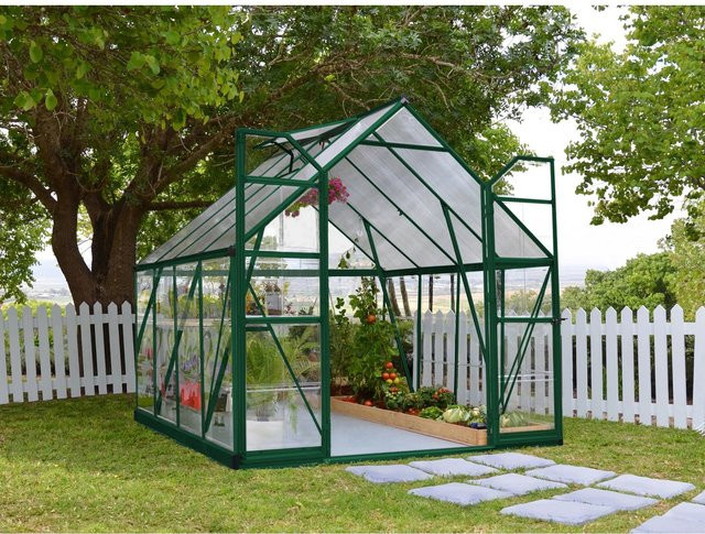 Palram Canopia Balance 8x8 Gewächshaus in Grün mit Polycarbonat-Seitenwänden und Dachfenster, B: 247 cm, H: 244 cm - Bild 1