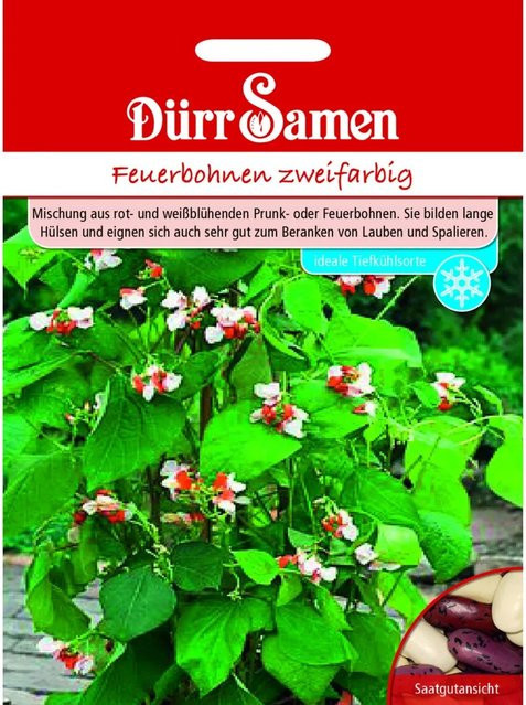 Dürr Zweifarbige Feuerbohnen Saatgut - Bild 1