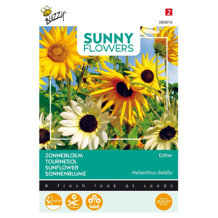 Sonnenblume Esther Buzzy Sunny Flowers Samen von arborix für Voranzucht und Freiland, 1 g - Bild 2