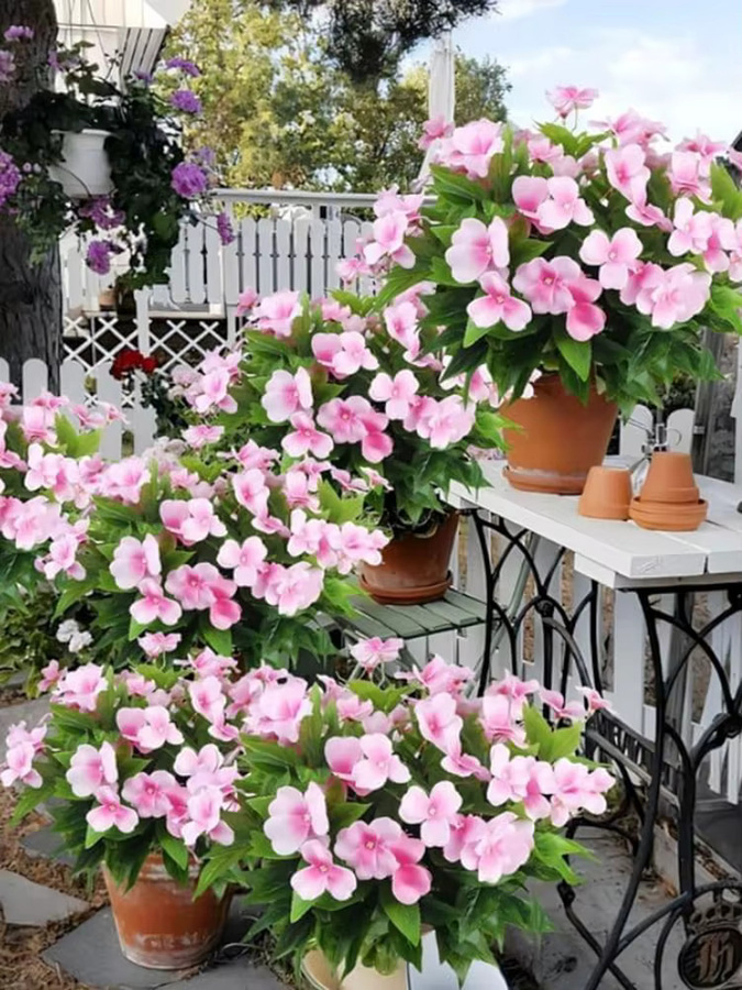 HUALIANQI Seidenbalsam Künstliche Blumen in Pink und Purple für Hochzeiten, Tischdekoration und Heimdekoration - Bild 2