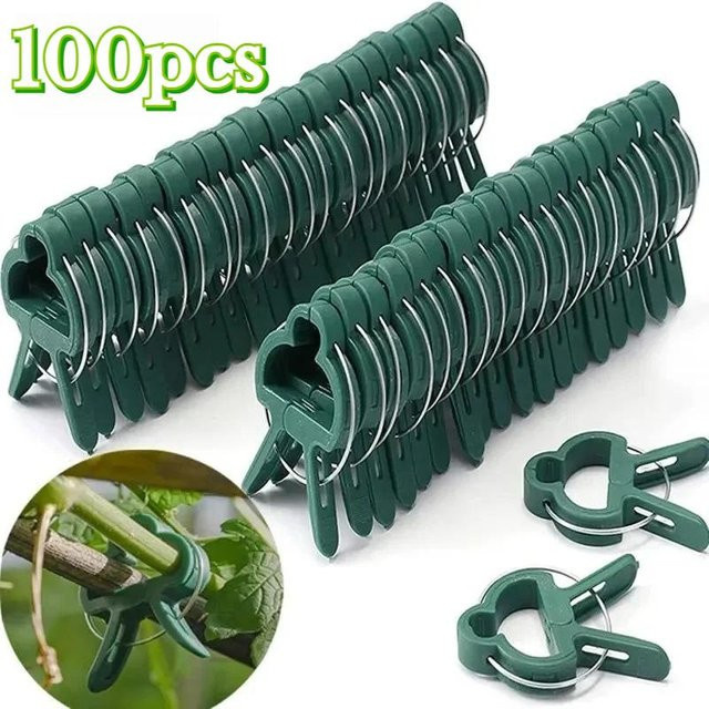 YWZT Home Depot Pflanzenfixierclips in Grün, 100 Stück verstellbare Halterungen für Blumen, Rankpflanzen und Tomaten - Bild 1