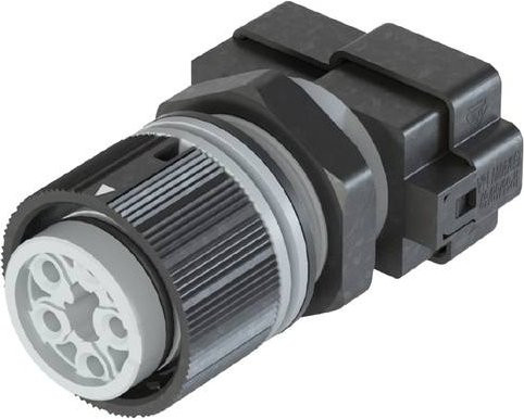 Wieland Electric Geräteanschluss in Grau 46.051.M054.0 - Bild 1
