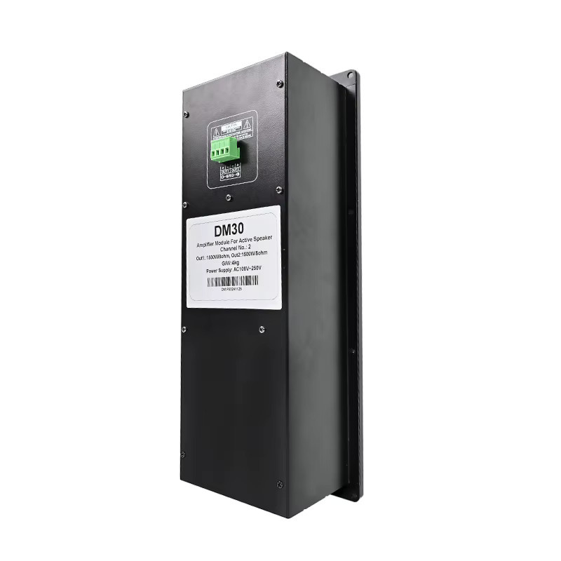 ZUIDID DM30 Professionelles Digitales Subwoofer-Verstärkerboard Klasse D DSP 3000 Watt in Schwarz - Bild 3