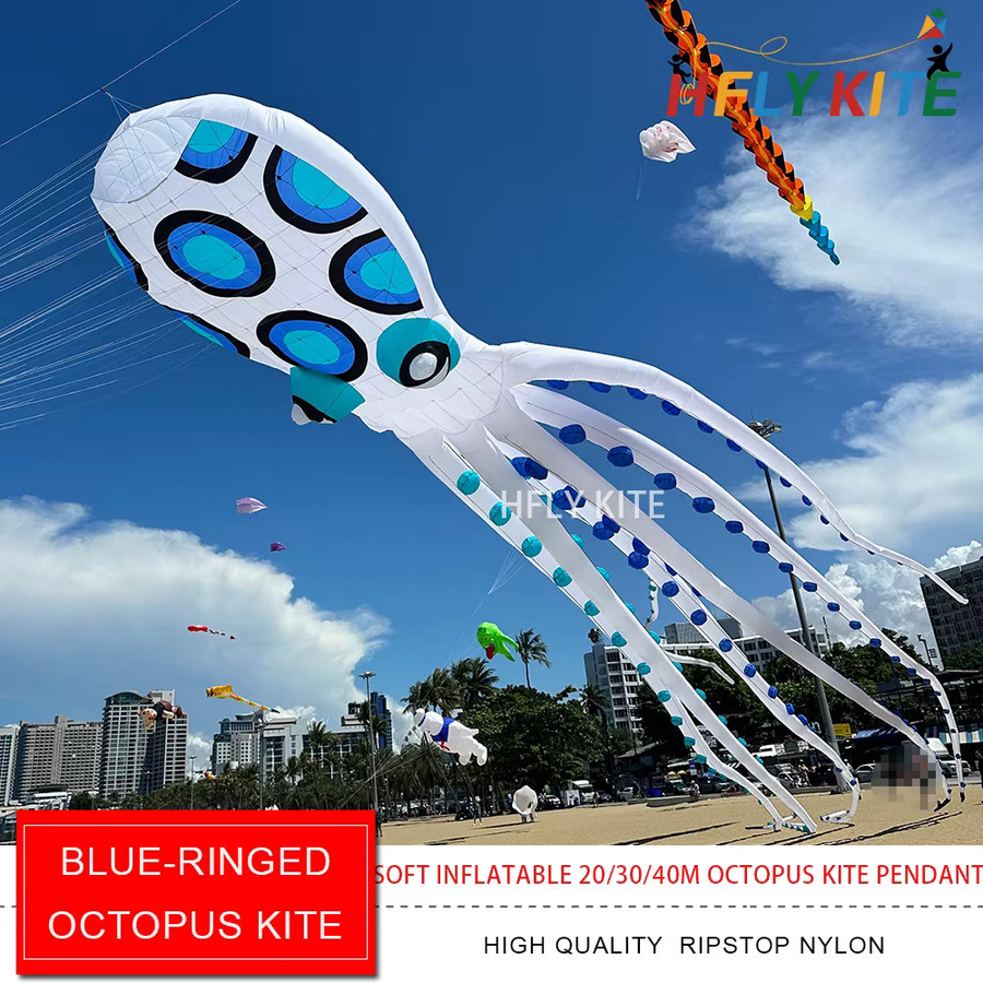 HFLY Oktopus-Kite-Anhänger, blauer Showkite mit Leine, Meerestiere - Bild 2