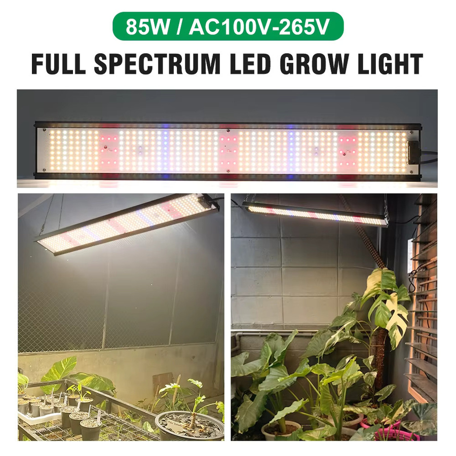 Hunta Vollspektrum LED Pflanzenlampe 85W LM281B in Schwarz für Indoor Gewächshaus, Hydroponik und Blumen - Bild 3