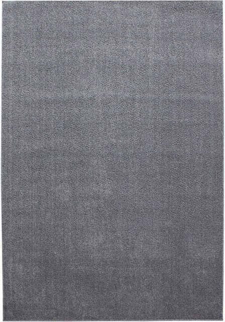 Ayyildiz Teppich ATA modern in Hellgrau, B/L: 160 x 230 cm - Bild 1