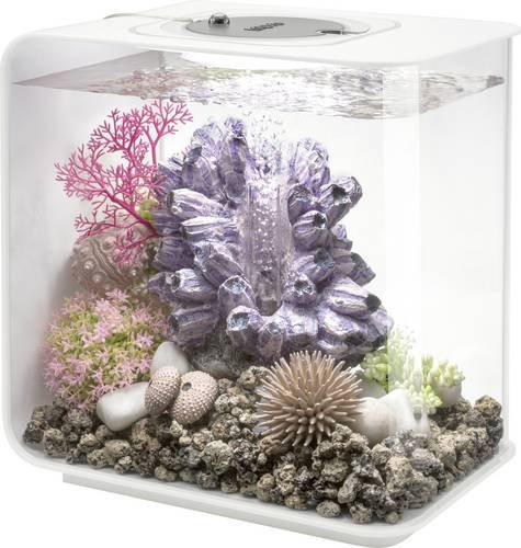 Oase biOrb FLOW 15 LED Aquarium in Weiß mit LED-Beleuchtung, 15 l - Bild 1