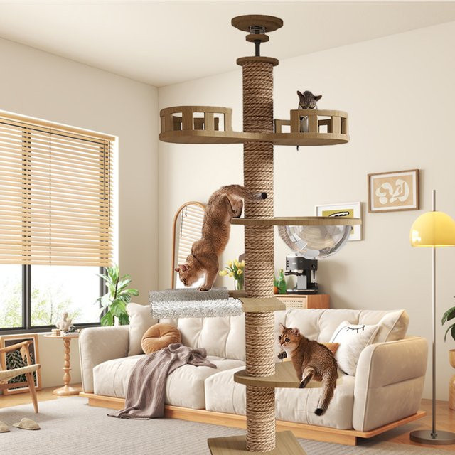 HGTUGO Verstellbarer Katzen-Kletterbaum in Beige und Gelb mit Plüsch-Hängematte und Kratzmöglichkeiten für Indoor-Haustiere - Bild 1