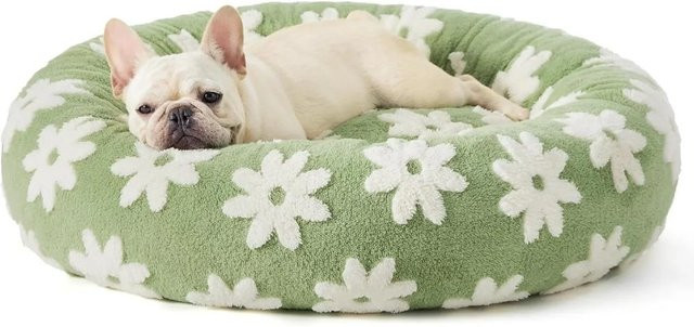 Rundes Haustierhaus für Hunde und Katzen von Pet Products My, isoliertes Haustierbett in Grün, B/T/H: 50 x 50 x 18 cm - Bild 1