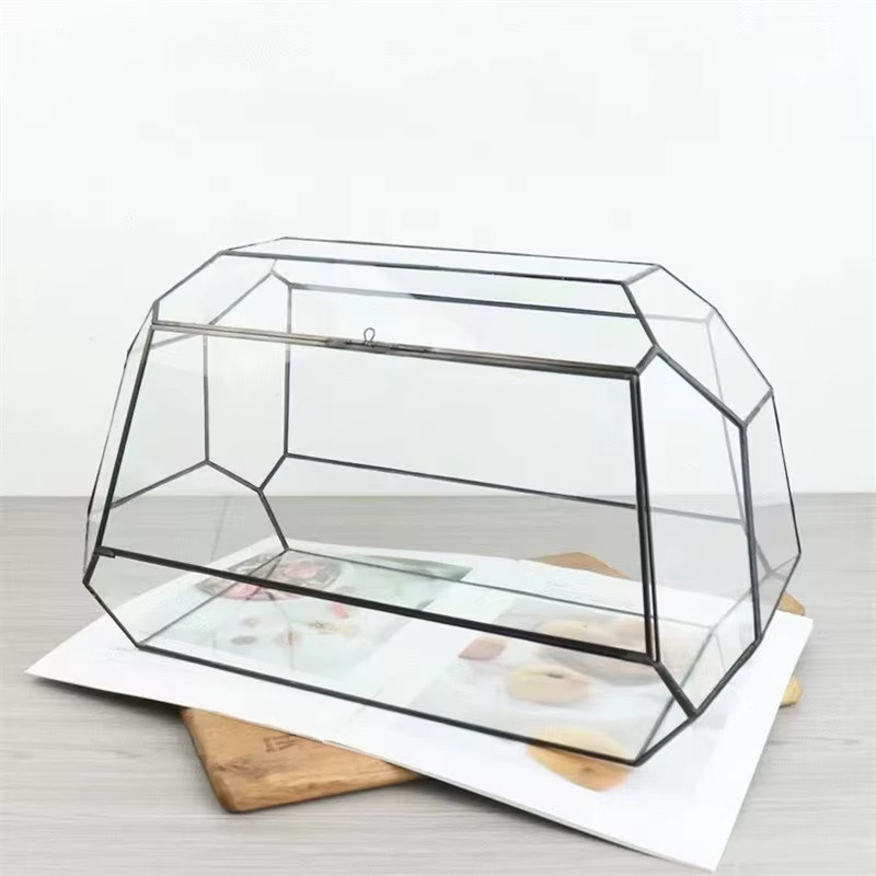 BenRussell Geometrisches Glas-Terrarium für Mikro-Landschaften und Sukkulenten, Transparent, Rechteckig - Bild 1