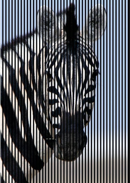 FN Acustico Akustikplatte Zebra Multicolor aus PET und MDF, H x B x T: 2.400 x 1.693 x 19,0 mm - Bild 1